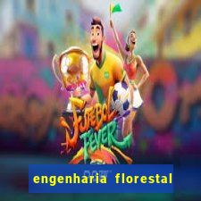 engenharia florestal ead cruzeiro do sul